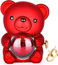 Rosa Stabilizzata,Orsacchiotto