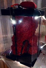 Orso Orsetto Orsacchiotto Di